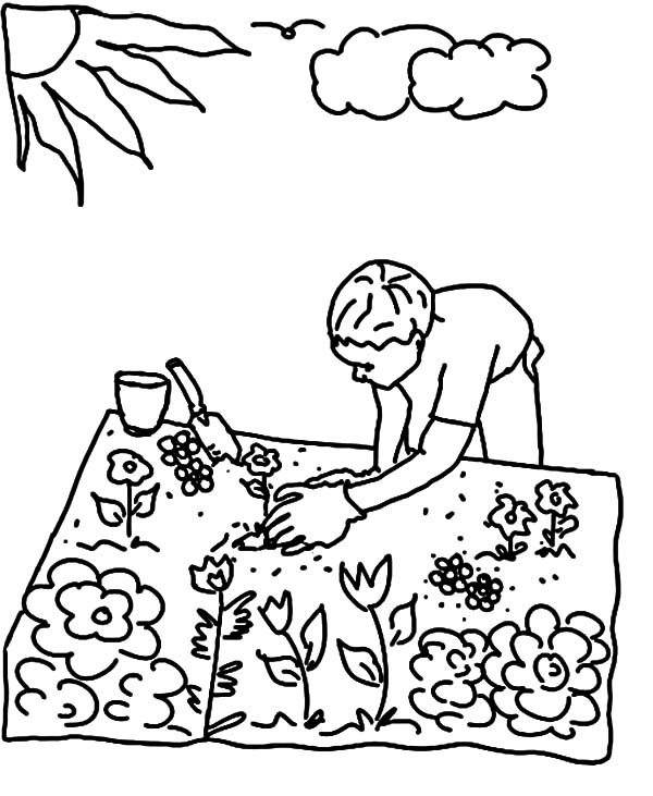 600x731 Garden Pictures To Color Planting Seed In Flower Garden Coloring