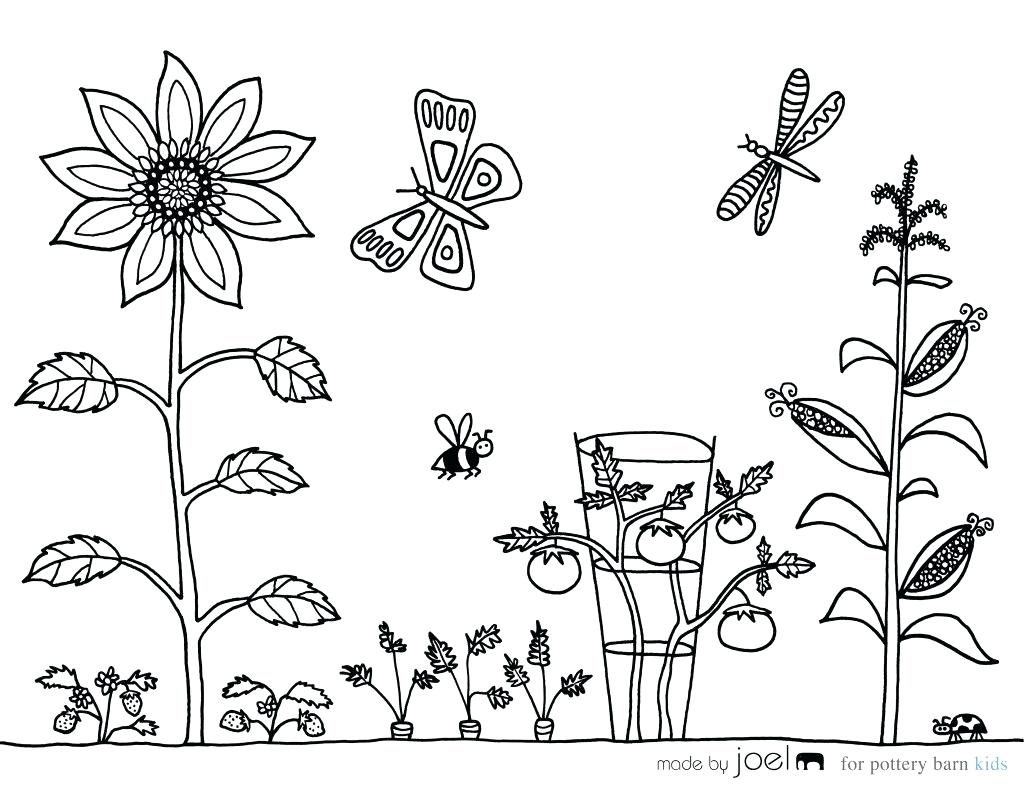 1024x791 Vegetable Garden Coloring Sheet Made By Free Of Daisy Flower Page
