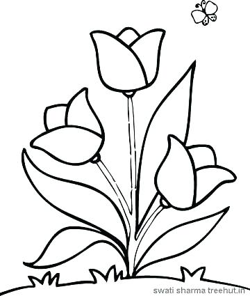 360x425 Coloring Pages Flower Floral Coloring Pages To Print Colouring