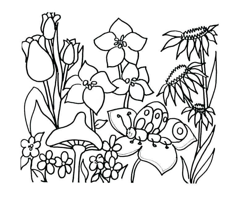 780x644 Coloring Pages Flower Luxury Flower Garden Coloring Page Crayola