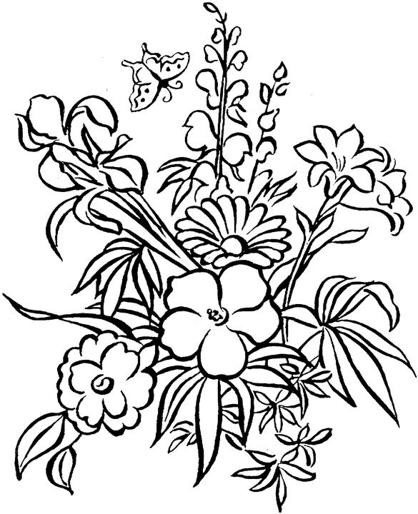 585x720 Free Printable Adult Coloring Pages