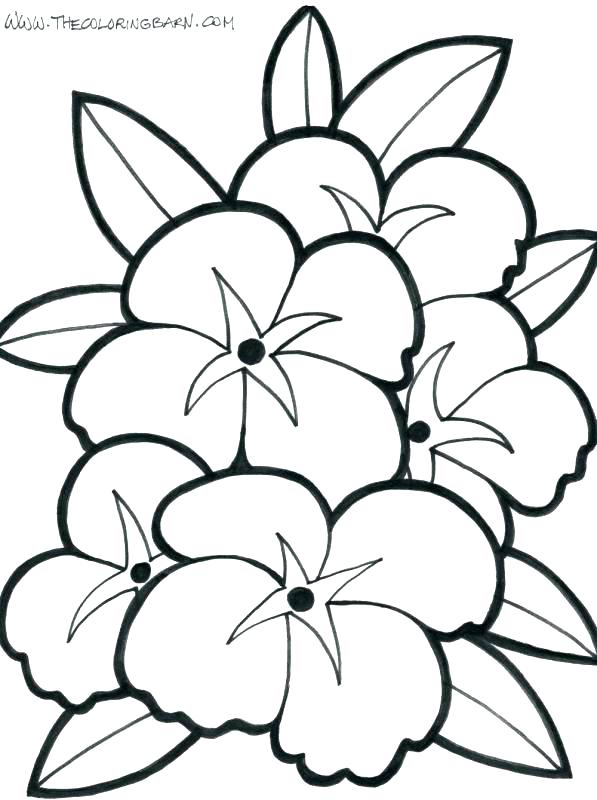 597x800 Megalodon Shark Coloring Pages Shark Coloring Pages Shark Coloring