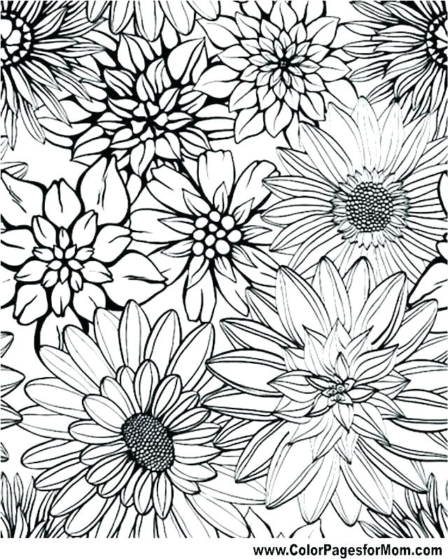 640x799 Easy Printable Flower Coloring Pages