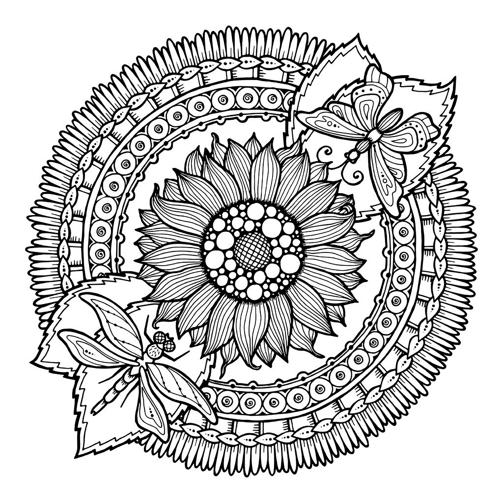 2000x2000 Mandala Dragonfly And Flowers
