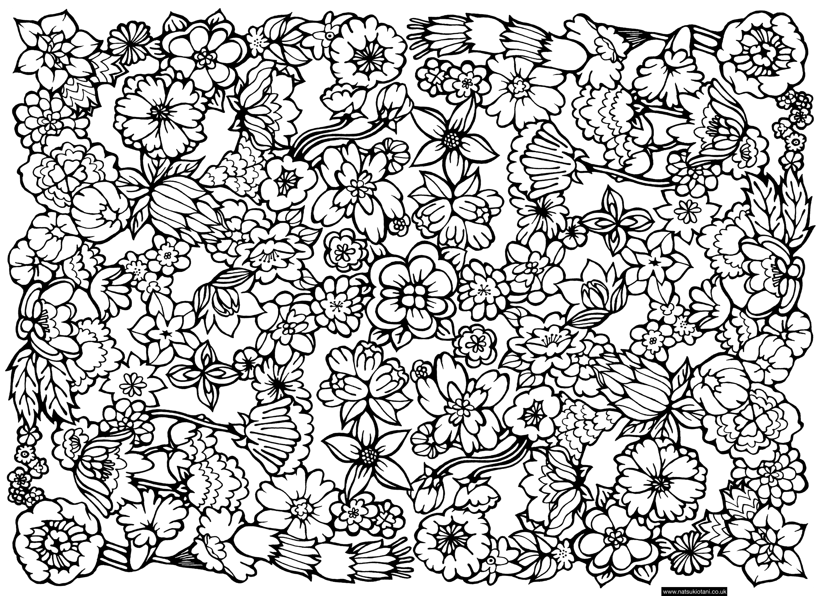 2749x2000 Free Adult Coloring Pages Mandalas And More 14443