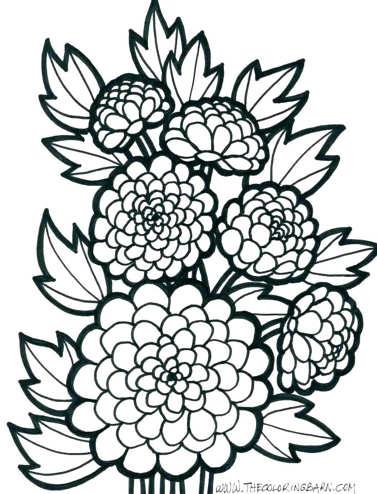 736x965 Pattern Coloring Page Impair.co