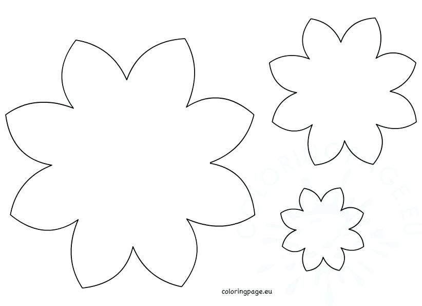 822x595 Daisy Petal Coloring Page Flower Daisy 8 Petal Daisy Clover Petal