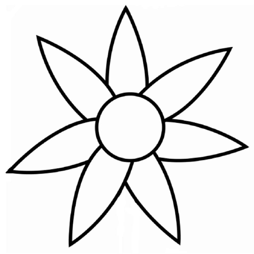 1021x1024 Appealing Coloring Flower Petals Simple Picture For Page Of Trends