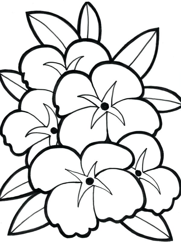600x803 Flower Power Coloring Pages Beautiful Picture Of Flower Coloring