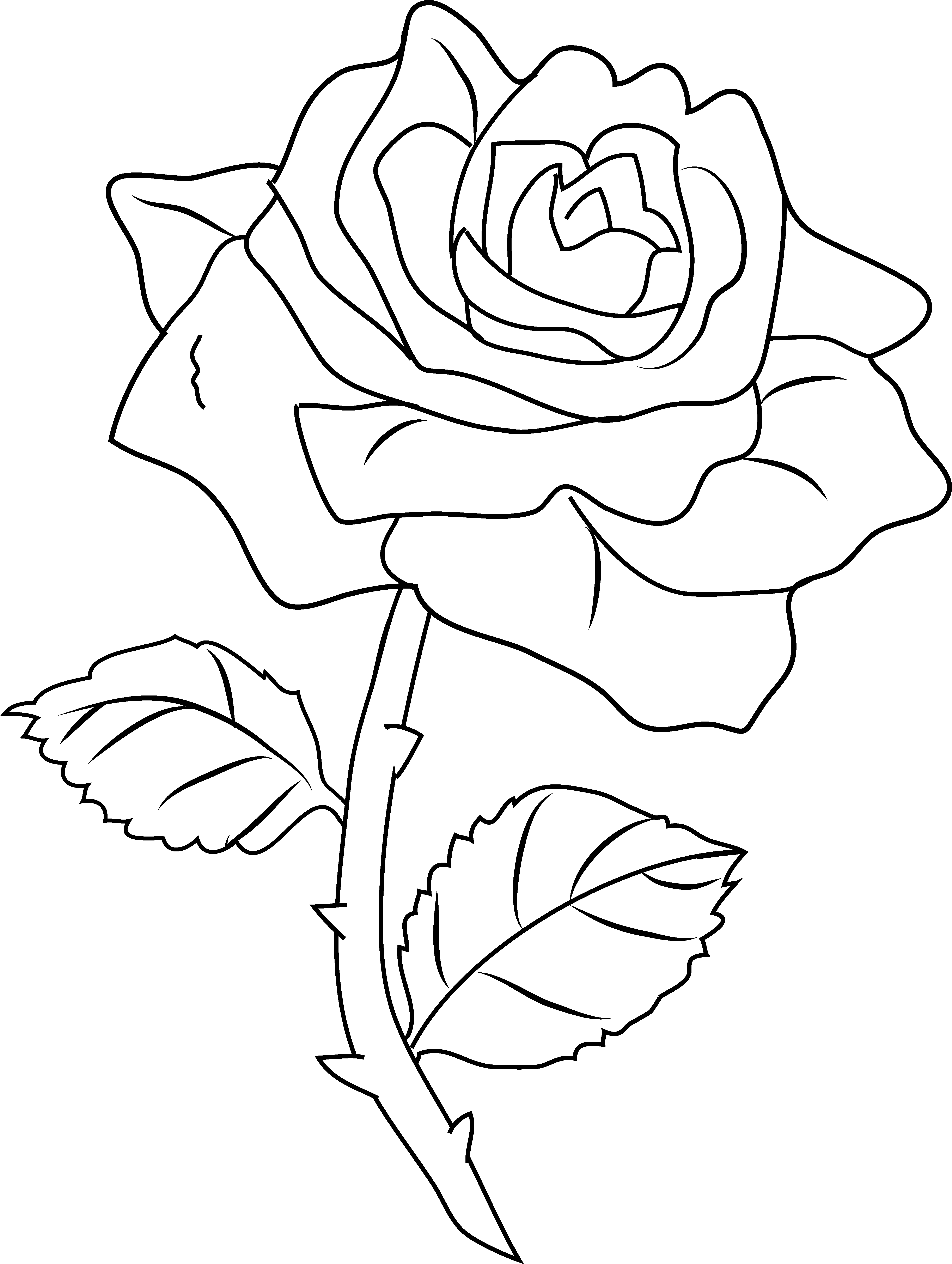 Flower Rose Coloring Pages