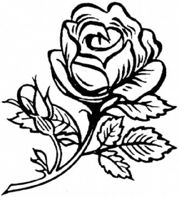 600x660 Flower Rose Coloring Page, Roses Flowers Coloring Pages