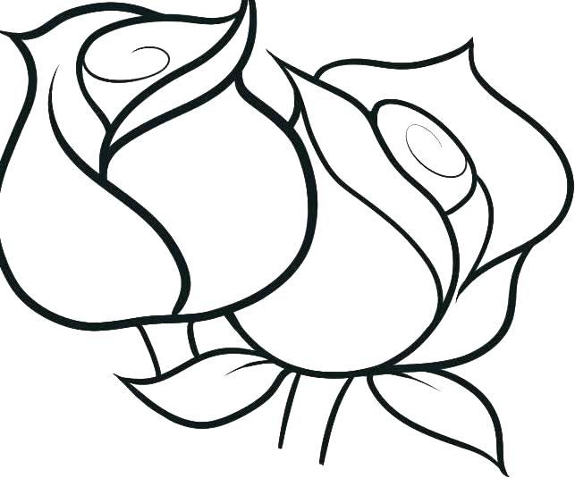 643x535 Roses Coloring Page Skull And Roses Coloring Pages Rose Color Page