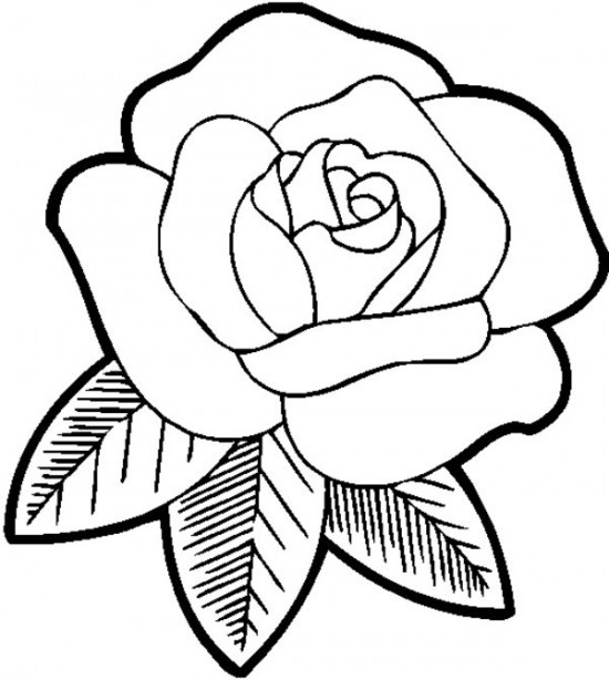 550x614 Coloring Pages Roses Flowers Free Printable Flower For Kids Best
