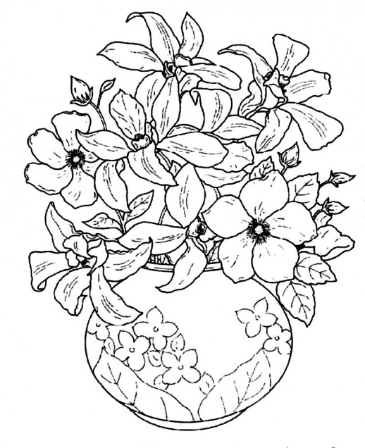 518x636 Line Drawings Of Flowers