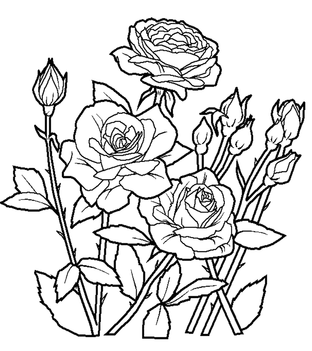 Flowers Coloring Pages Rose