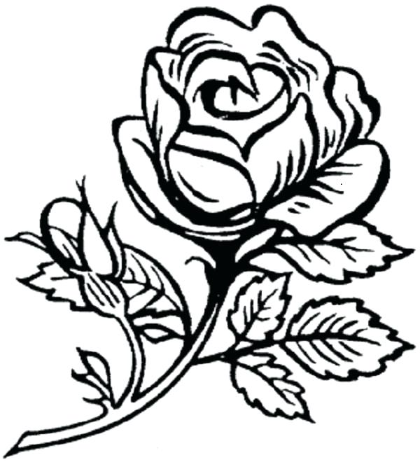 600x660 Flower Color Page