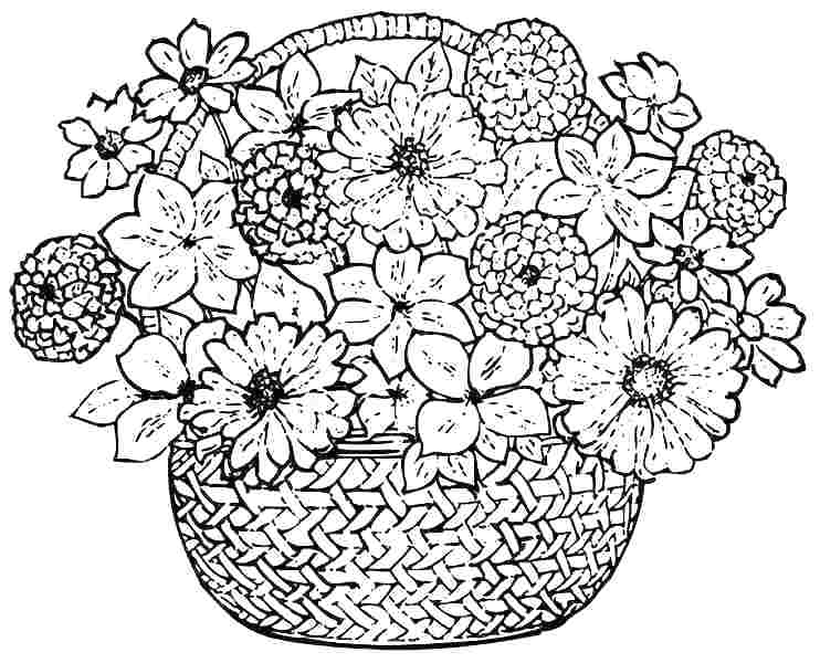 742x600 Spring Flowers Coloring Pages Printable Printable Flowers To Color