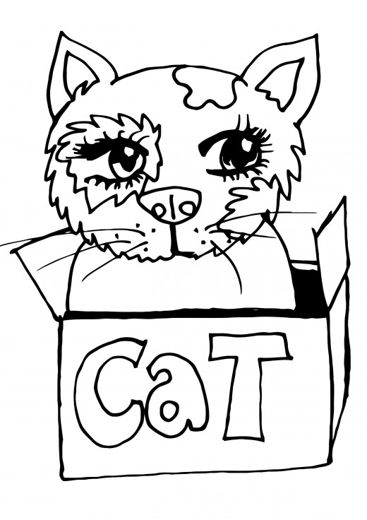 Fluffy Cat Coloring Pages