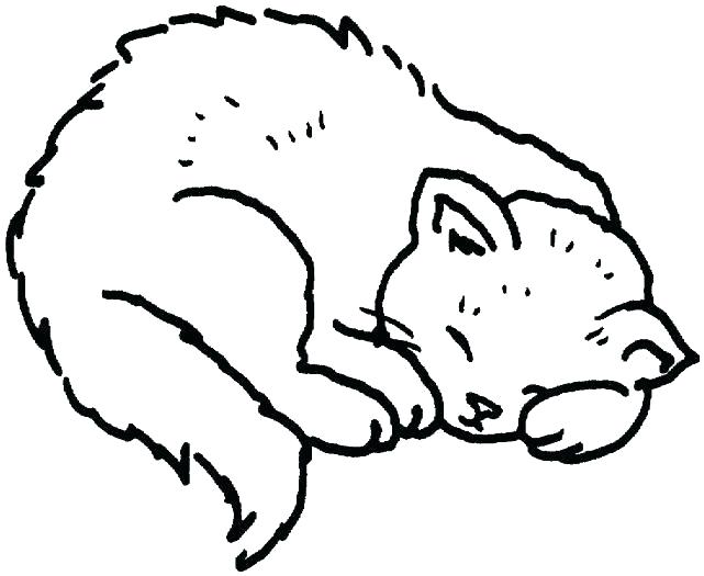 641x525 Cat Coloring Page Cat And Kitten Coloring Pages Printable Sketch