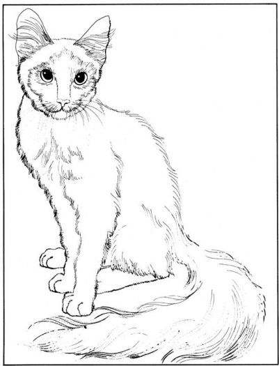401x525 Pin By Michele Duncan On Coloring Amp Drawing Designspatterns
