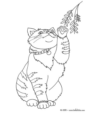 363x470 6 Images Of Cute Fluffy Cats Coloring Pages