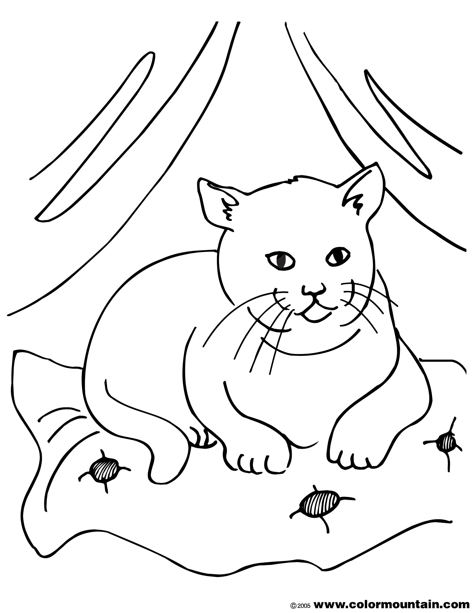 1800x2329 9 Images Of Fat Fluffy Cats Coloring Pages