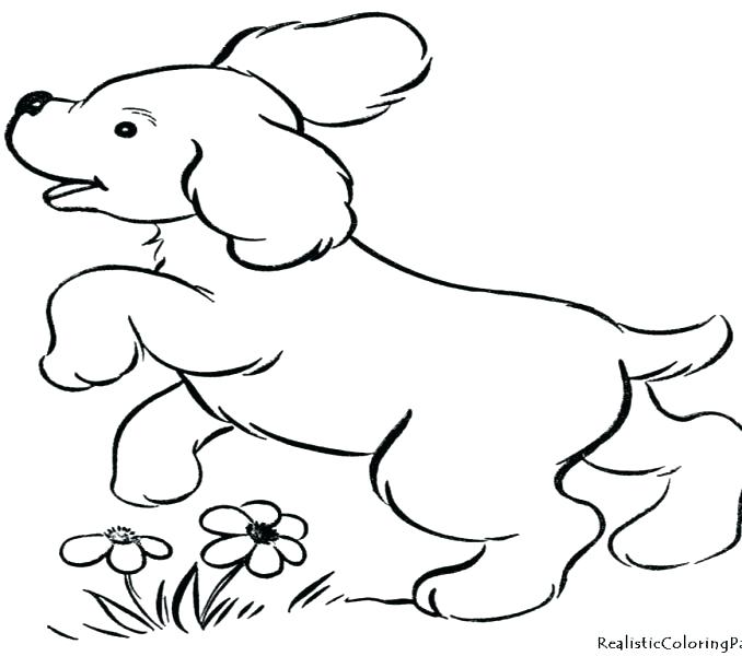 678x600 Puppy Dog Coloring Page Puppy Dog Pals Coloring Sheets Plus