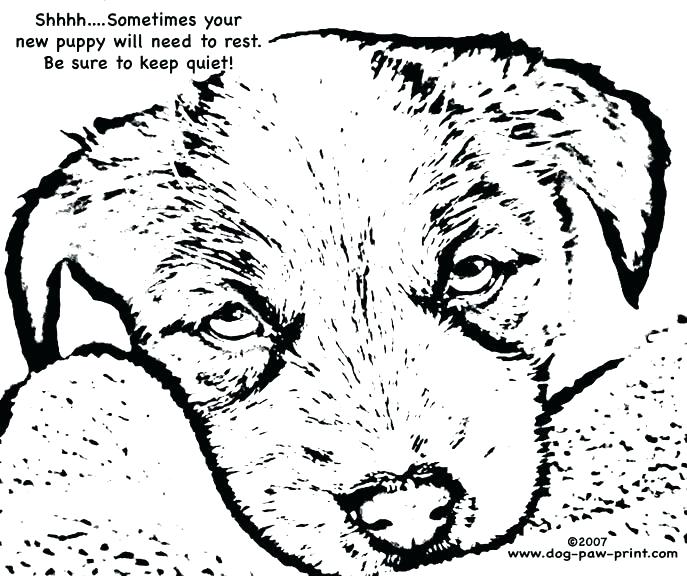 687x576 Cute Dog Pictures To Color Puppy Dog Coloring Pages Cute Cute Dog