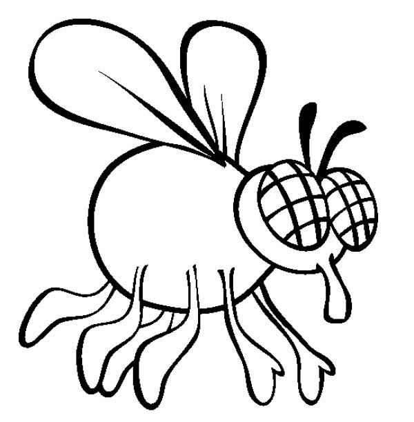 600x612 Fly