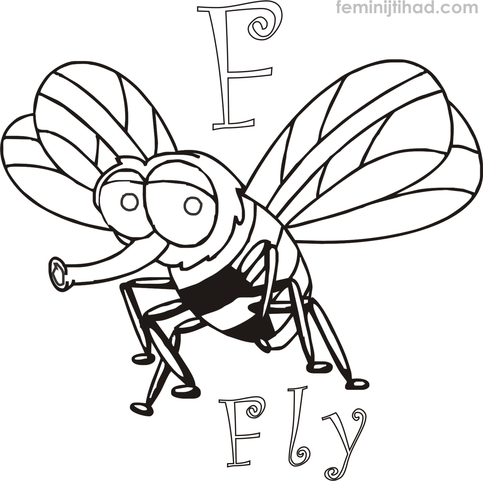 1536x1531 Printable Fly Coloring Pages To Download Coloring Pages For Kids