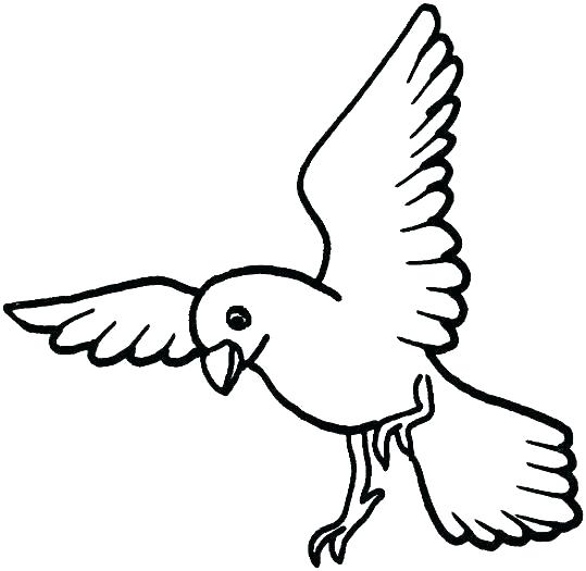 539x525 Bird Flying Coloring Page Impair.co