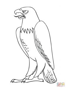 225x300 Literarywondrous Philadelphia Coloring Pages Bartram For Kids
