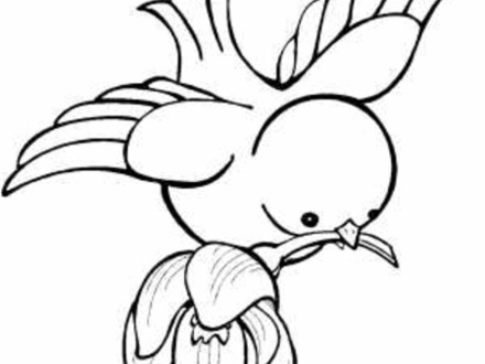 Flying Bird Coloring Pages