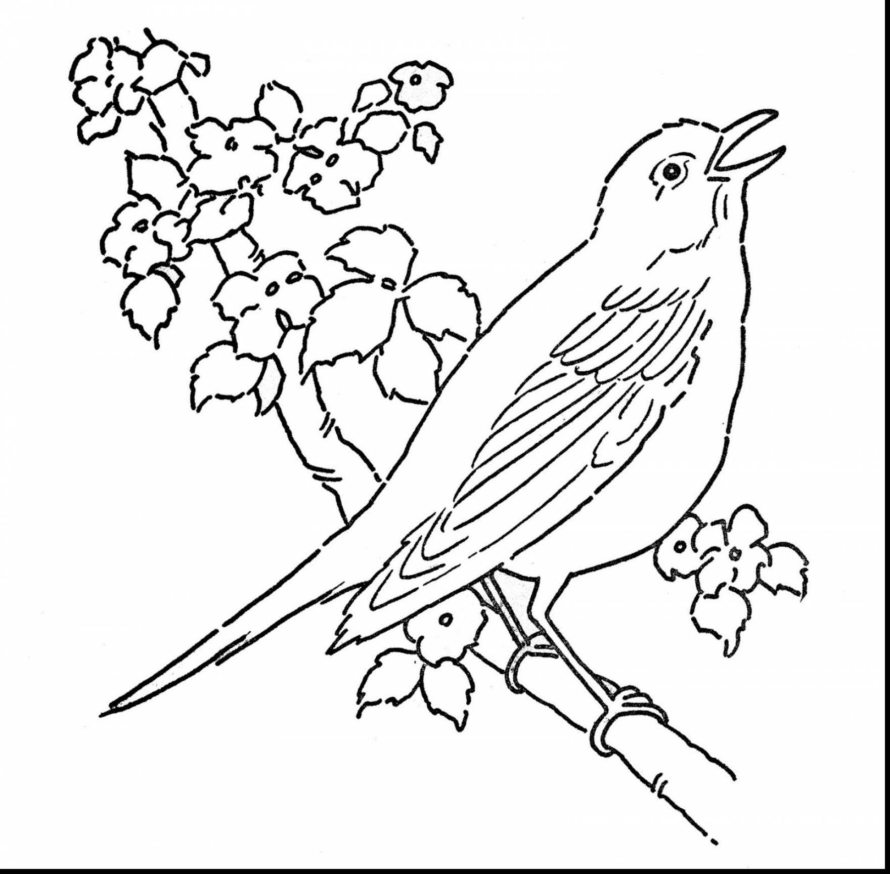 1760x1728 Challenge Color Pages Of Birds Free Printable Bird Coloring 2981