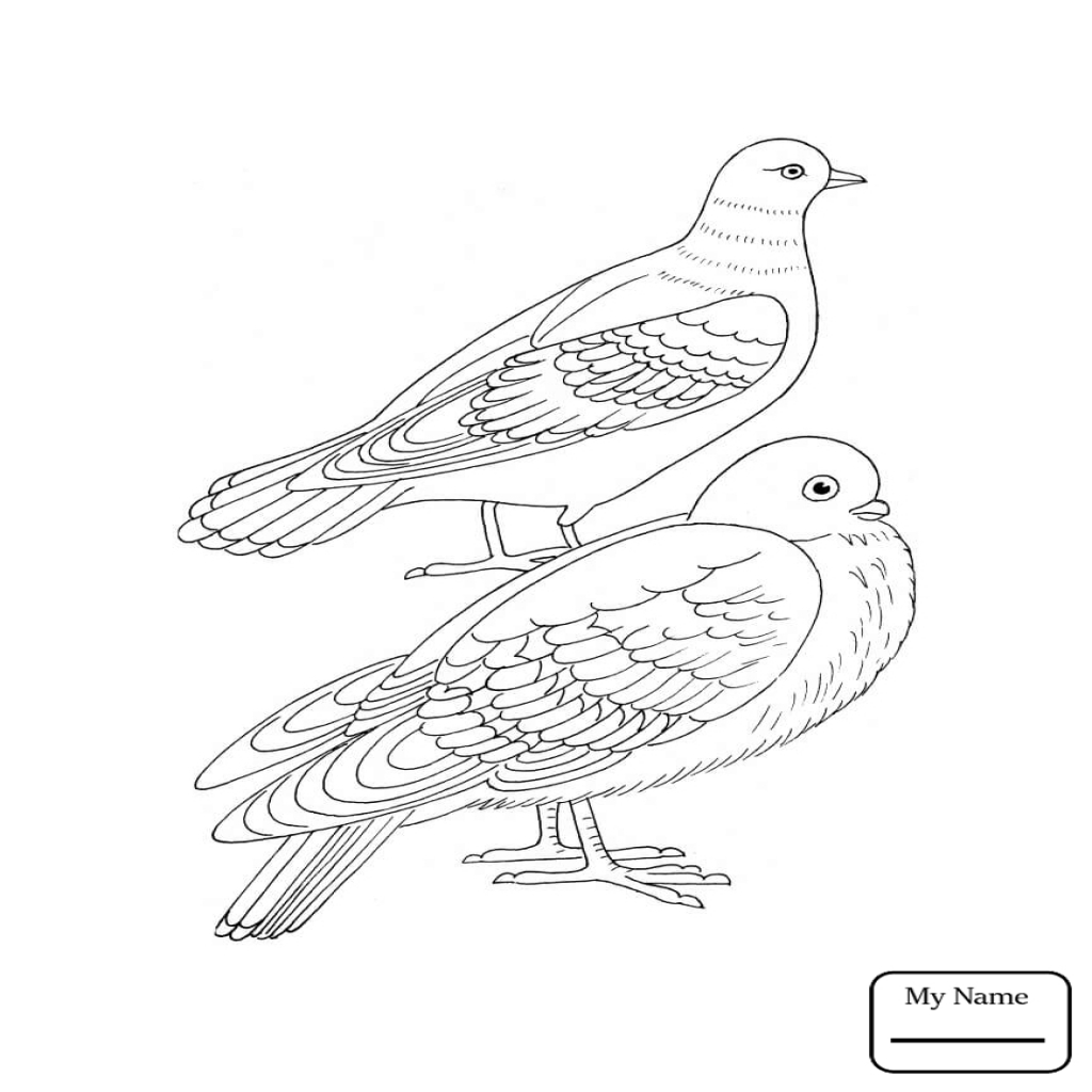 1024x1024 Doves Dove Is Flying Birds Coloring Pages For Kids Azcoloringclub