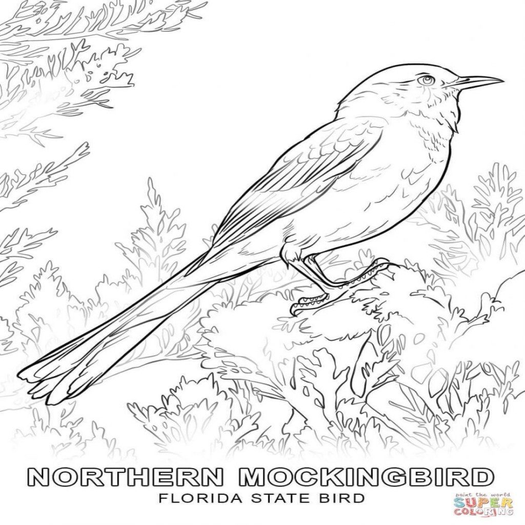 1024x1024 Flying Bird Coloring Pages Printable Big Animal Free Cardinal Page