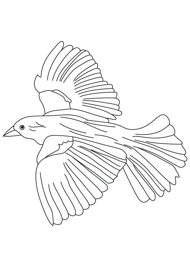 613x860 Flying Bird Coloring Page Impair.co