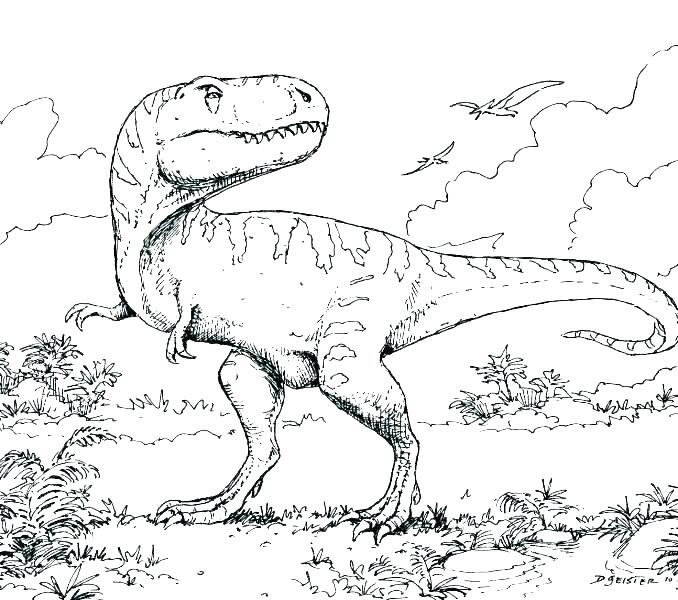 678x600 Dinosour Coloring Pages Flying Dinosaur Coloring Pages Dinosaur