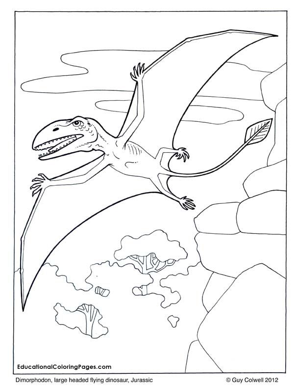 612x792 Zoology Flying Dimorphodon Coloring, Flying Dinosaur Coloring
