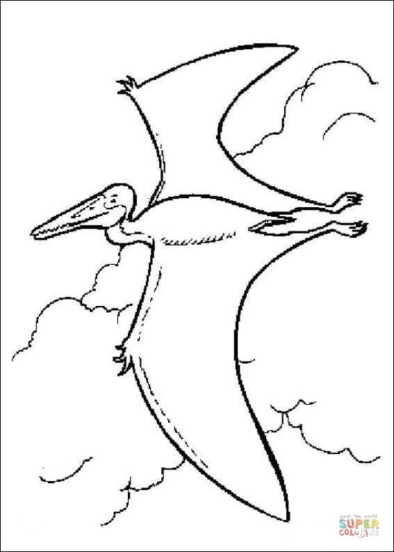 567x794 Dinosaur Quetzalcoatlus Coloring Page Print Color Fun Flying