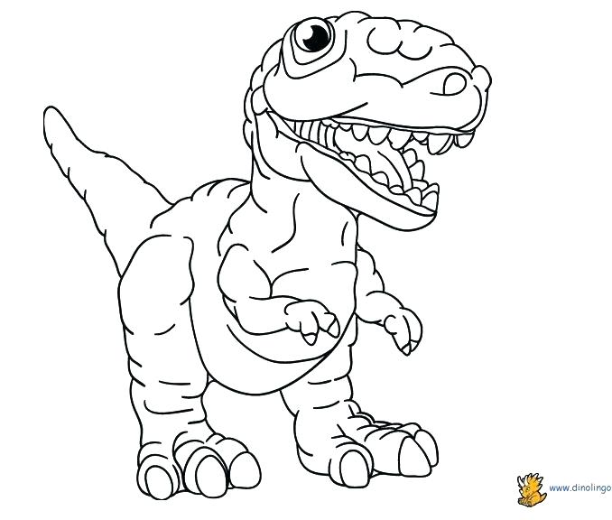 678x576 Coloring Page Coloring Page Coloring Page Dinosaur Skeleton Free