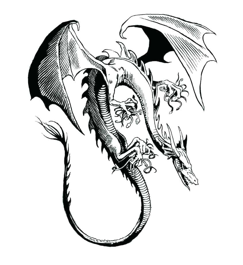 846x920 Cool Dragon Coloring Pages Printable Coloring Pages Collection