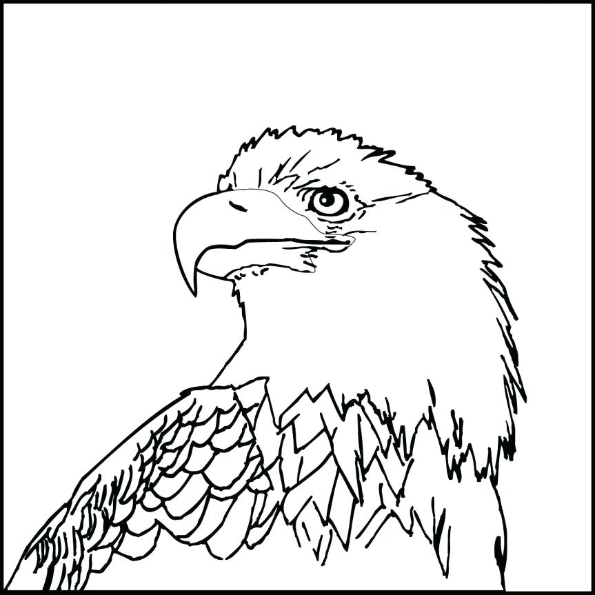 863x863 Design Bald Eagle Coloring Pages The Flying Bald Eagle Design Bald