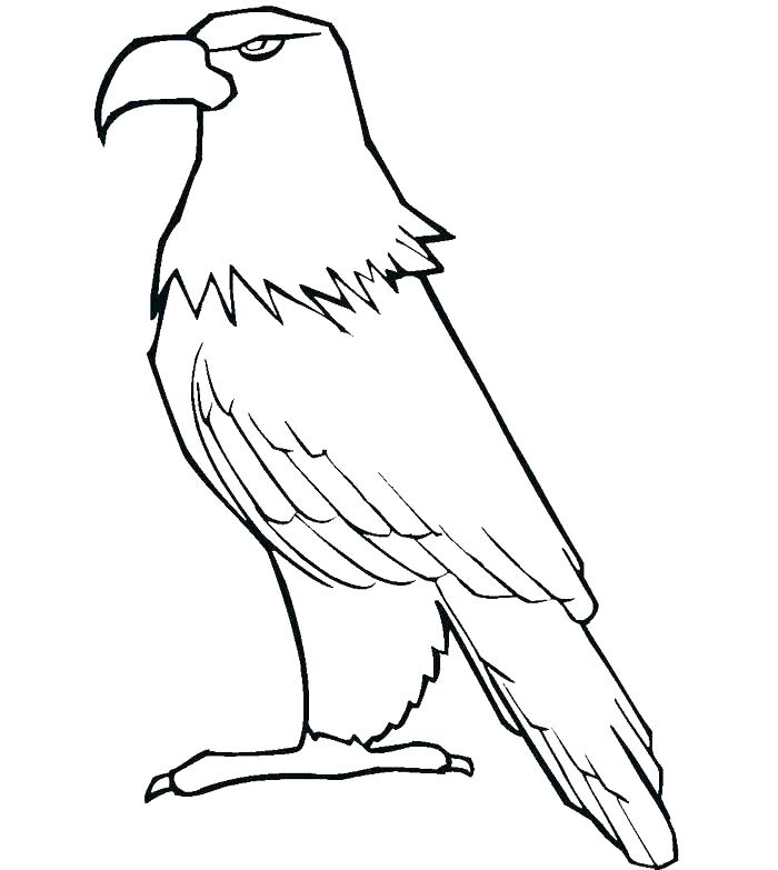 700x783 Harpy Eagle Coloring Page Harpy Eagle Kid 7 Harpy Eagle Coloring