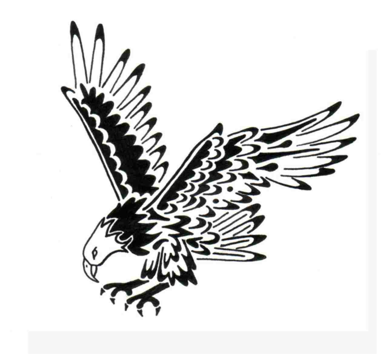 1271x1188 Outstanding Soaring Eagle Coloring Page Frieze