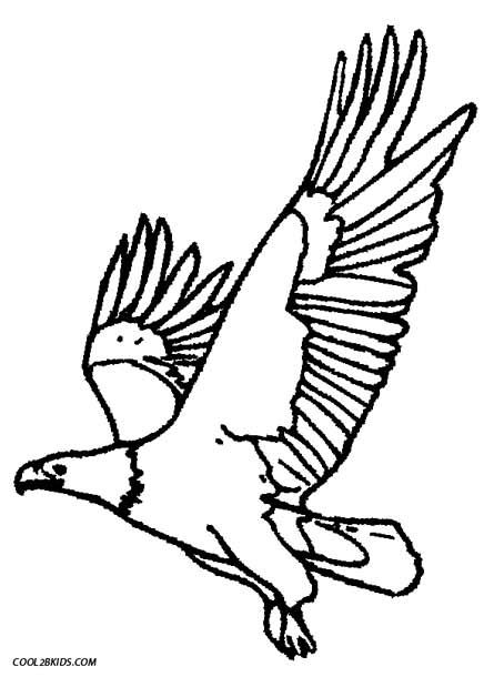 445x610 Printable Eagle Coloring Pages For Kids Cool2bkids Color Me