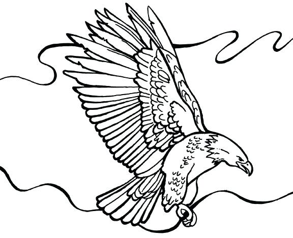 576x468 Bald Eagle Coloring Page Free Printable Coloring Pages Bald Eagle