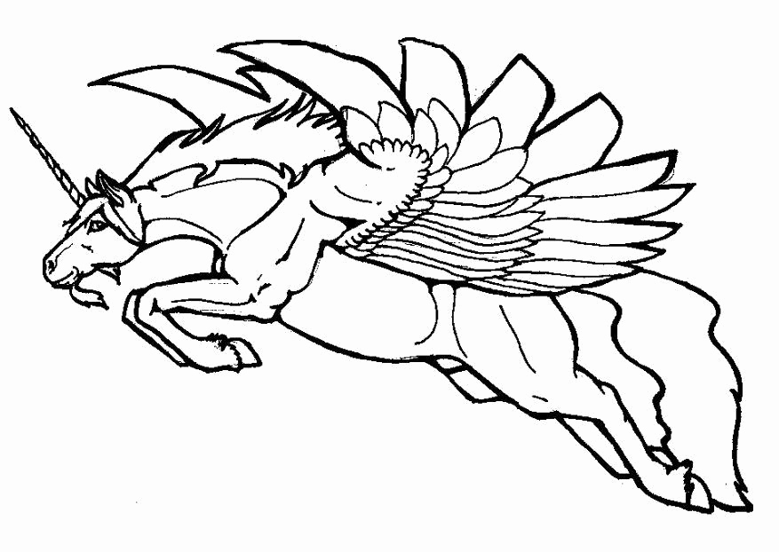 877x622 Flying Fairy Coloring Pages Images Coloring Page Flying Unicorn