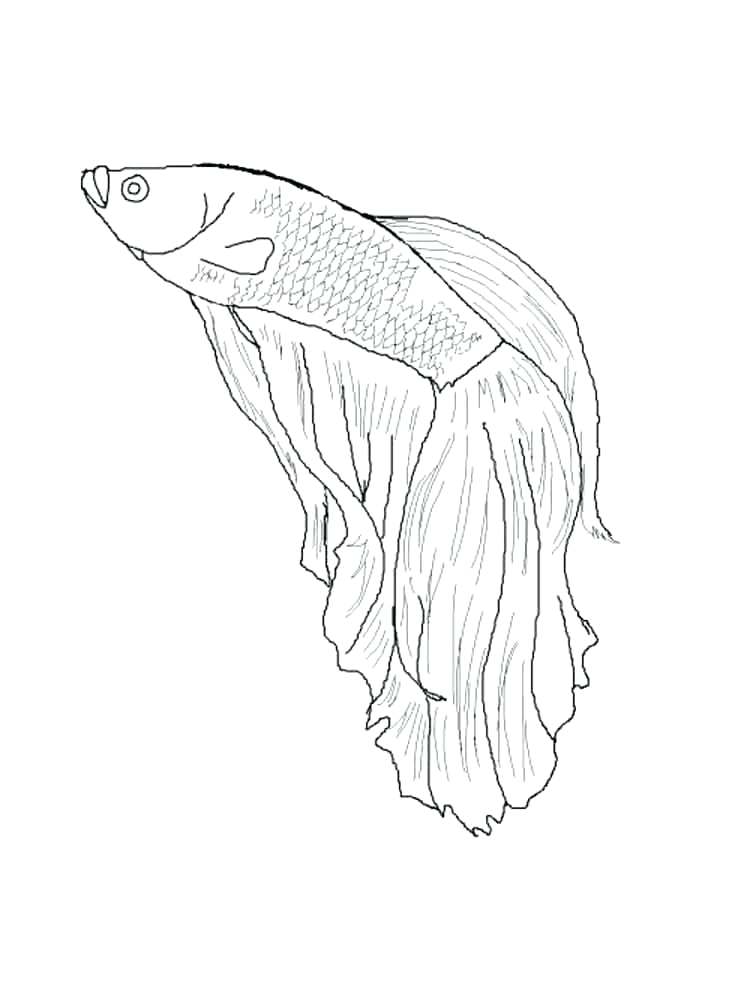 750x1000 Flying Fish Coloring Page Fish Coloring Pages 4 Coloring Pages
