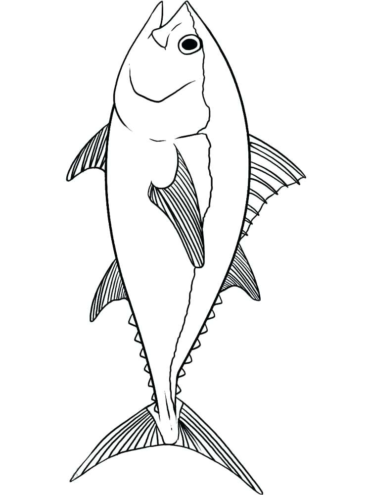 750x1000 Flying Fish Coloring Page Tuna Coloring Pages 1 Coloring Pages